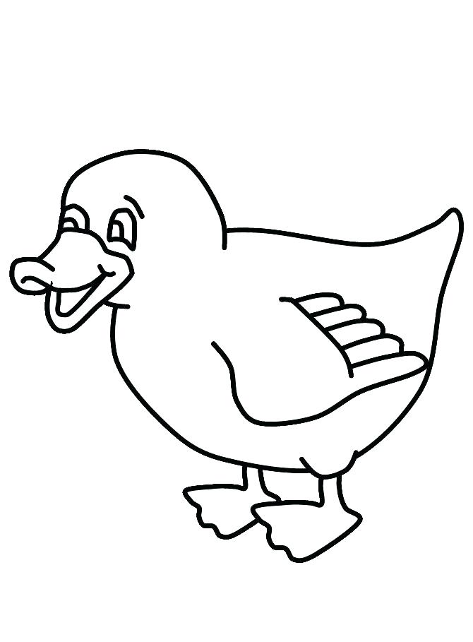 Bear Face Coloring Pages Brown What Do You See By Colorin 670x909 Bear Face Coloring Pages Brown What Do You See By Colorin