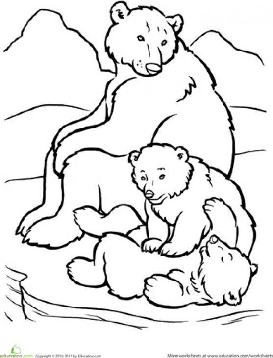 557x730 Beautiful And Happy Polar Bear Family Coloring Page Animal