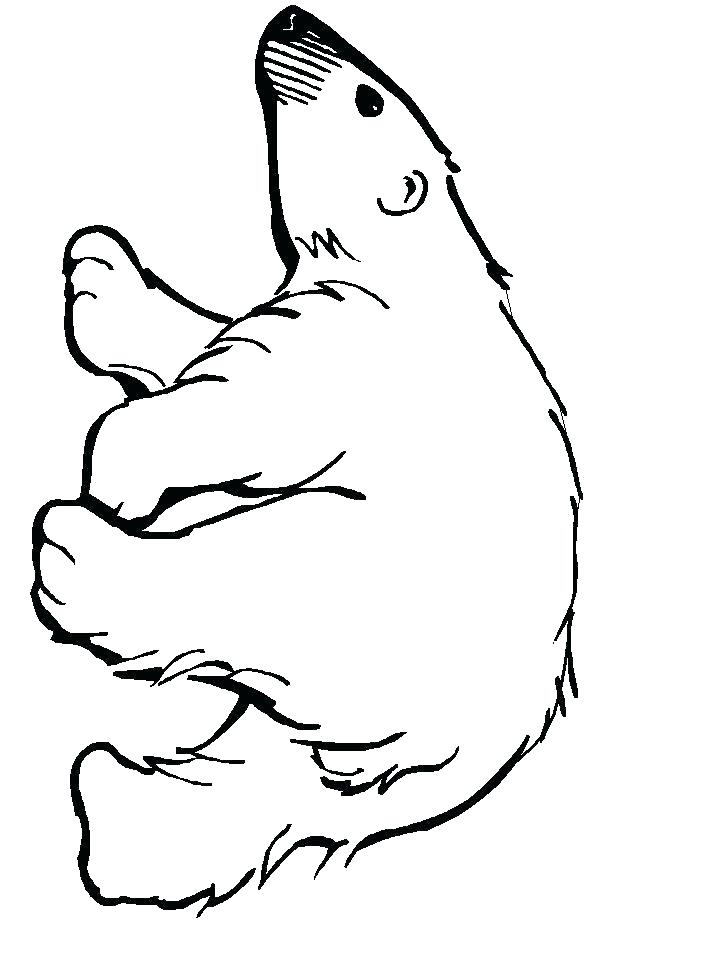 718x957 Coloring Bears Bear Family Colouring Pages Polar Coloring Bears