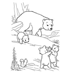 230x230 Top 10 Free Printable Polar Bear Coloring Pages Online
