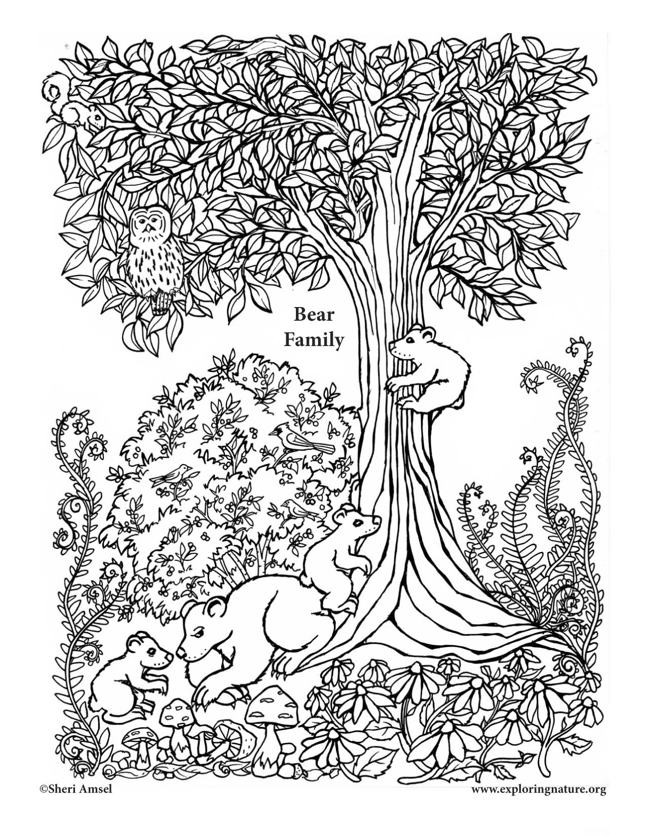 1275x1650 Bear Family Coloring Page