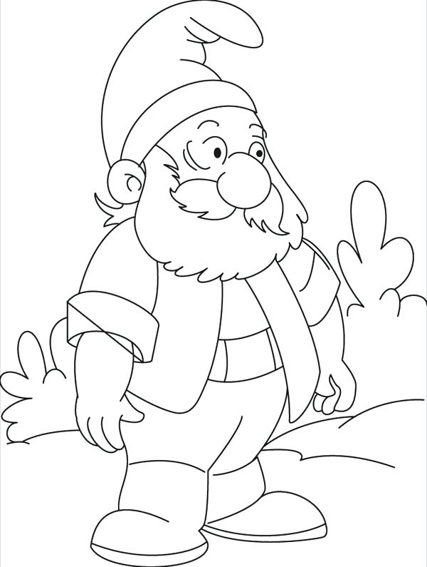 600x795 Gnome Coloring Pages Garden Gnome With Fluffy Beard Colouring Page