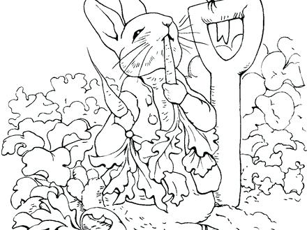 440x330 Peter Rabbit Coloring Pages Coloring Pages Rabbit Peter Rabbit
