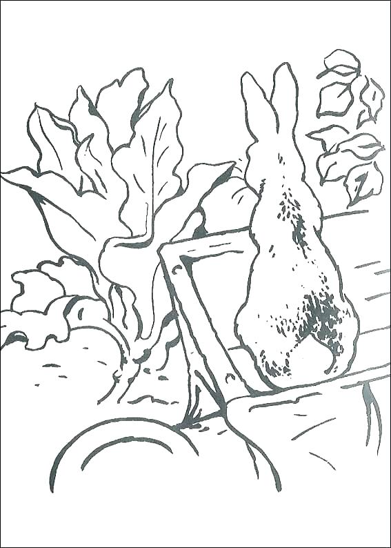567x794 Peter Rabbit Coloring Pages Page 1 In Nickelodeon Peter Rabbit