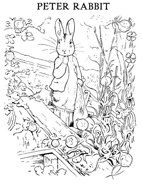 474x618 Peter Rabbit Coloring Page Drawing