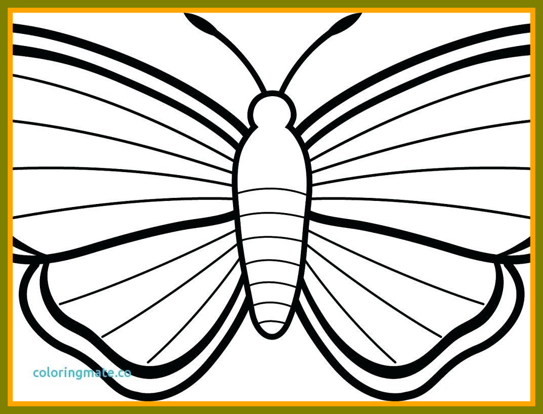1074x818 Awesome Sensational Butterfly Coloring Pages Image For Beautiful