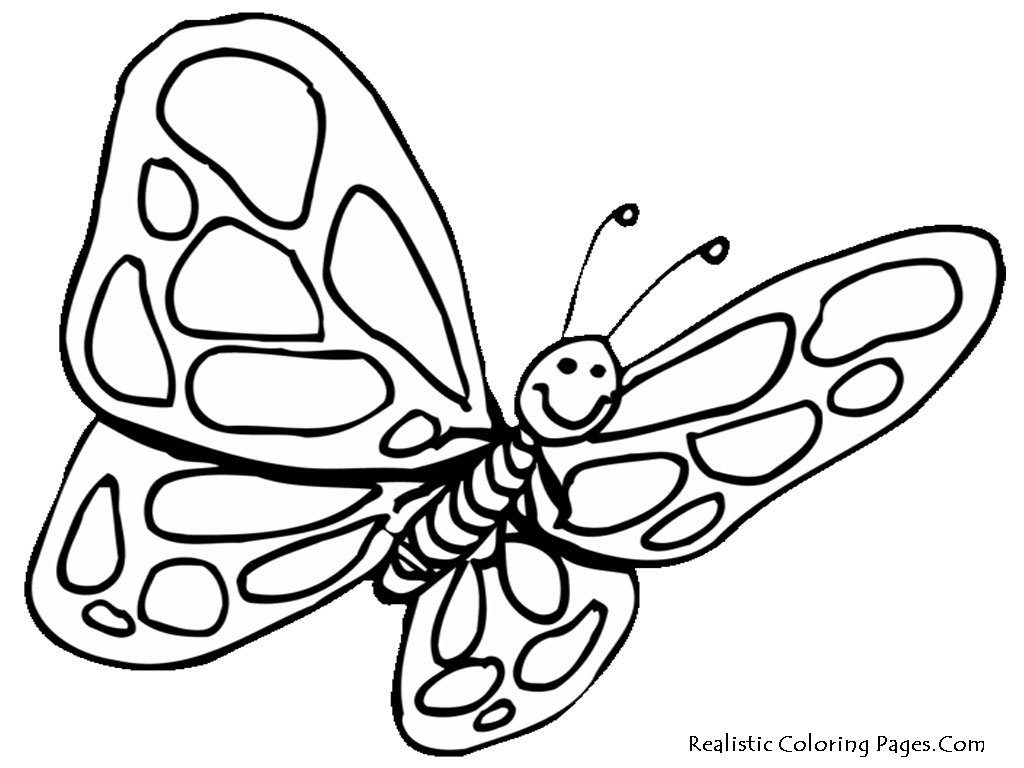 1024x768 Coloring Pages Of Butterflies Beautiful Realistic Butterfly