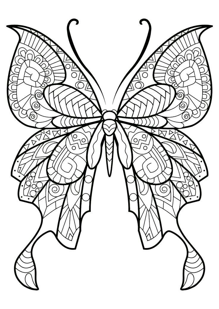 736x1040 Fantastic Beautiful Butterfly Coloring Image Butterfly Coloring