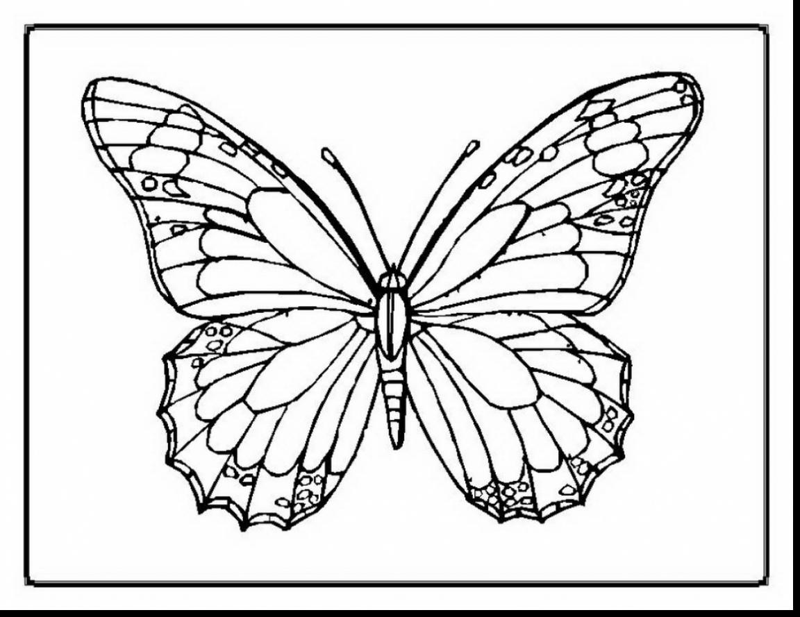 1152x889 Great Beautiful Butterfly Coloring Pages With Page And Free