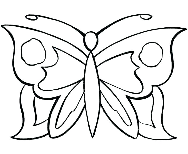 800x653 Butterfly Coloring Pages For Adults