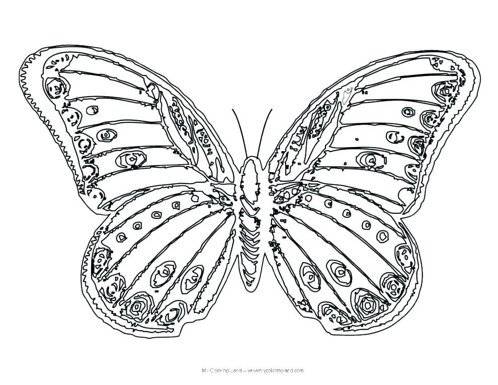 990x765 Butterfly Coloring Pages To Print