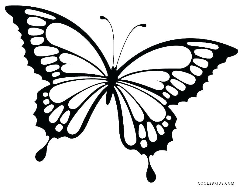 800x620 Beautiful Butterfly Coloring Pages Printable Butterfly Coloring