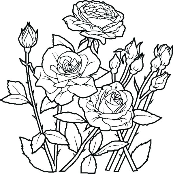 600x604 Flower Bouquet Coloring Pages Flower Bouquet Coloring Pages Flower