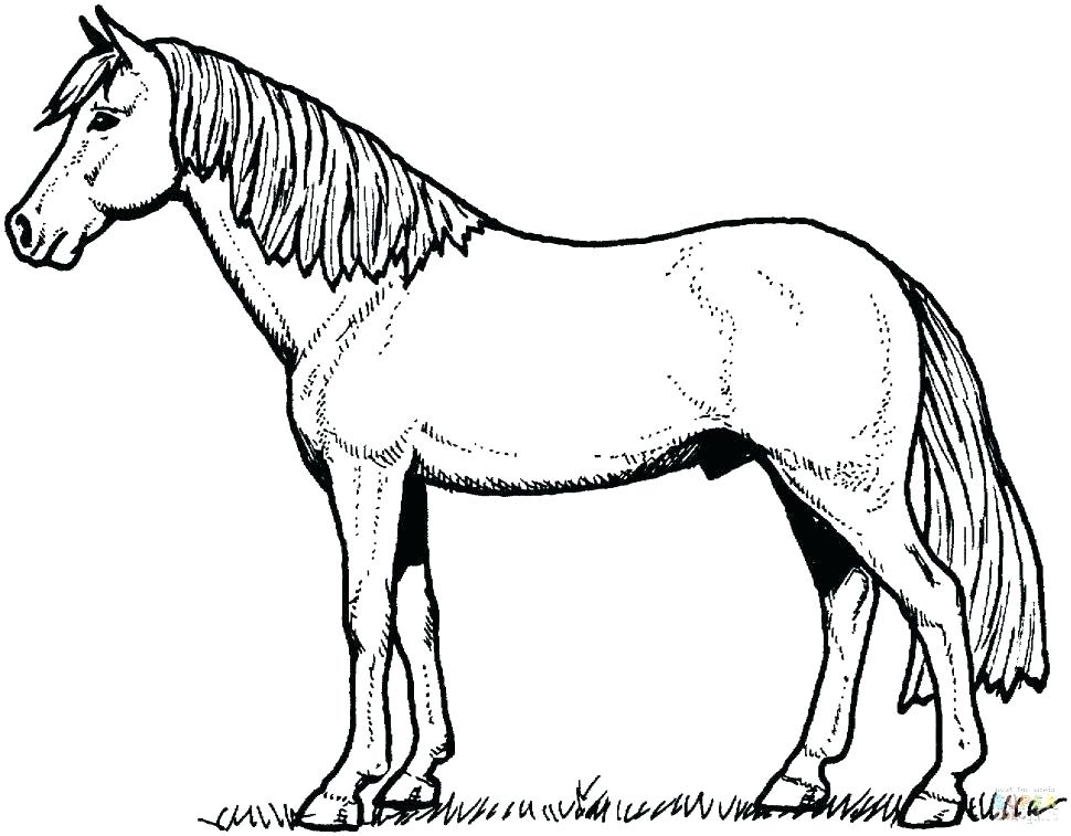 970x757 Horse Color Page Mustang Horse Coloring Pages Horses Coloring