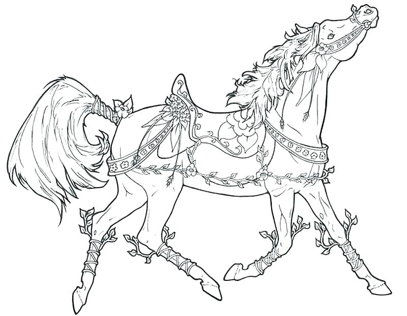 800x620 Horse Coloring Pages For Adults Also Horses Coloring Pages