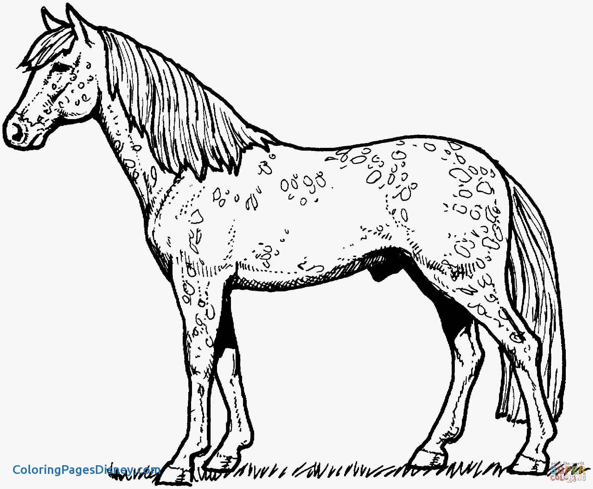 Horses Coloring Pages Beautiful Horses Coloring Pages 1918x1581 Horses Coloring Pages Beautiful Horses Coloring Pages