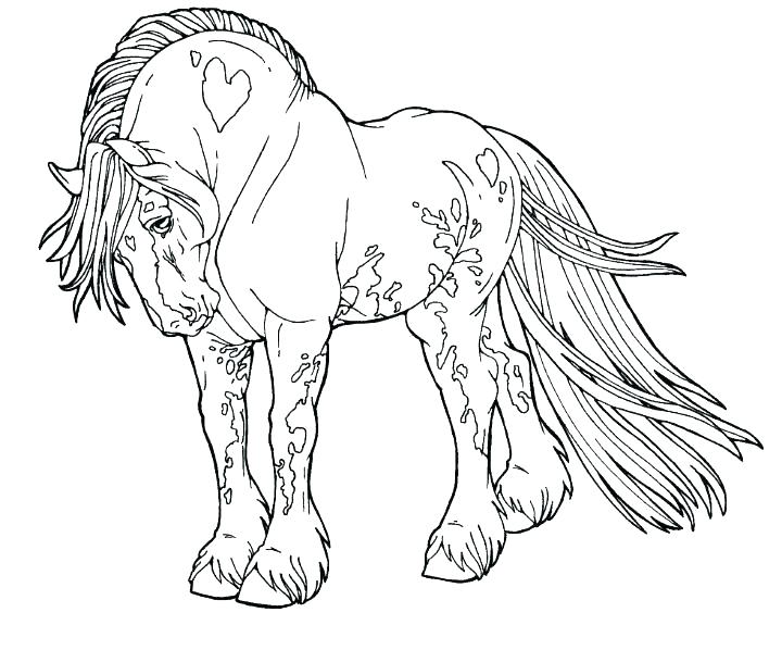 Two Horses Coloring Pages Two Horses Coloring Page Realistic Horse 720x598 Two Horses Coloring Pages Two Horses Coloring Page Realistic Horse