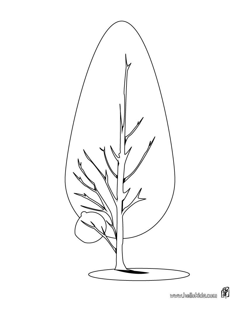 Beautiful Natural Coloring Page. Perfect Coloring Sheet For Kids 820x1060 Beautiful Natural Coloring Page. Perfect Coloring Sheet For Kids