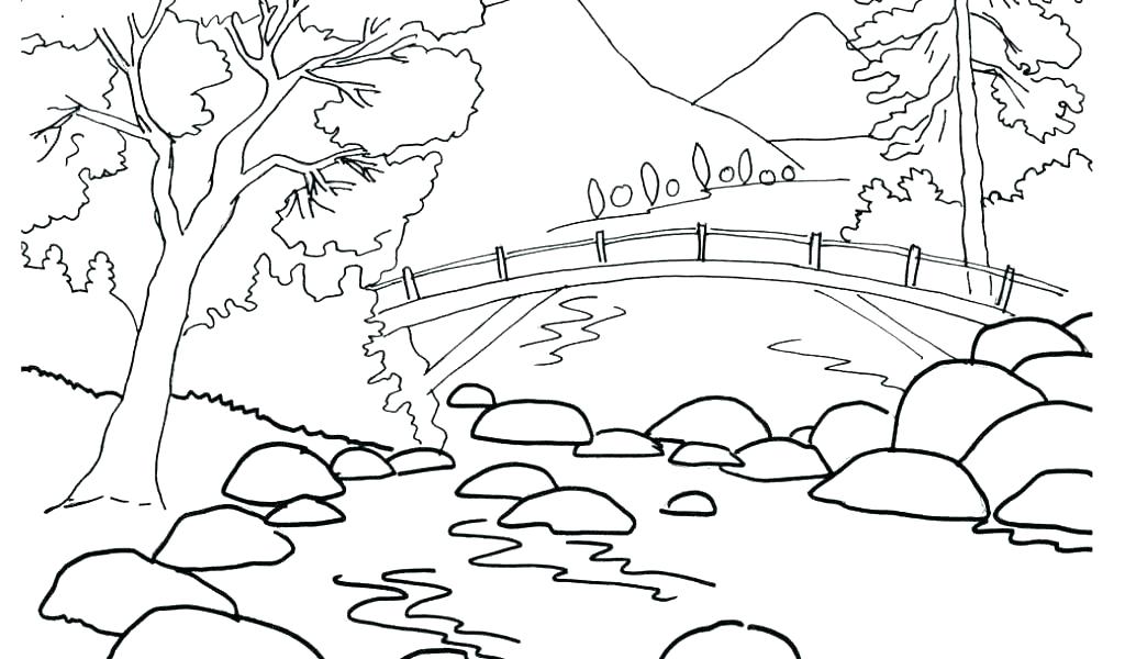 Coloring Pages Printable Flowers Beautiful Nature For Trend Adults 1024x600 Coloring Pages Printable Flowers Beautiful Nature For Trend Adults