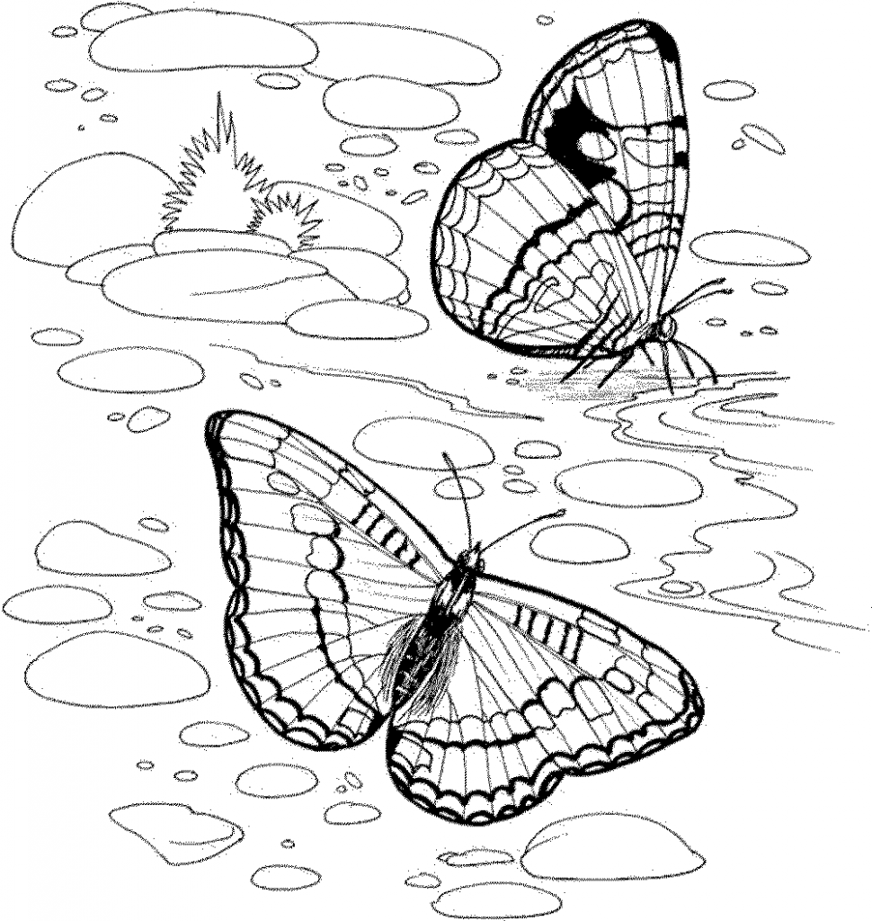 Free Printable Nature In Spring Coloring Pages Kids Beautiful 970x1024 Free Printable Nature In Spring Coloring Pages Kids Beautiful