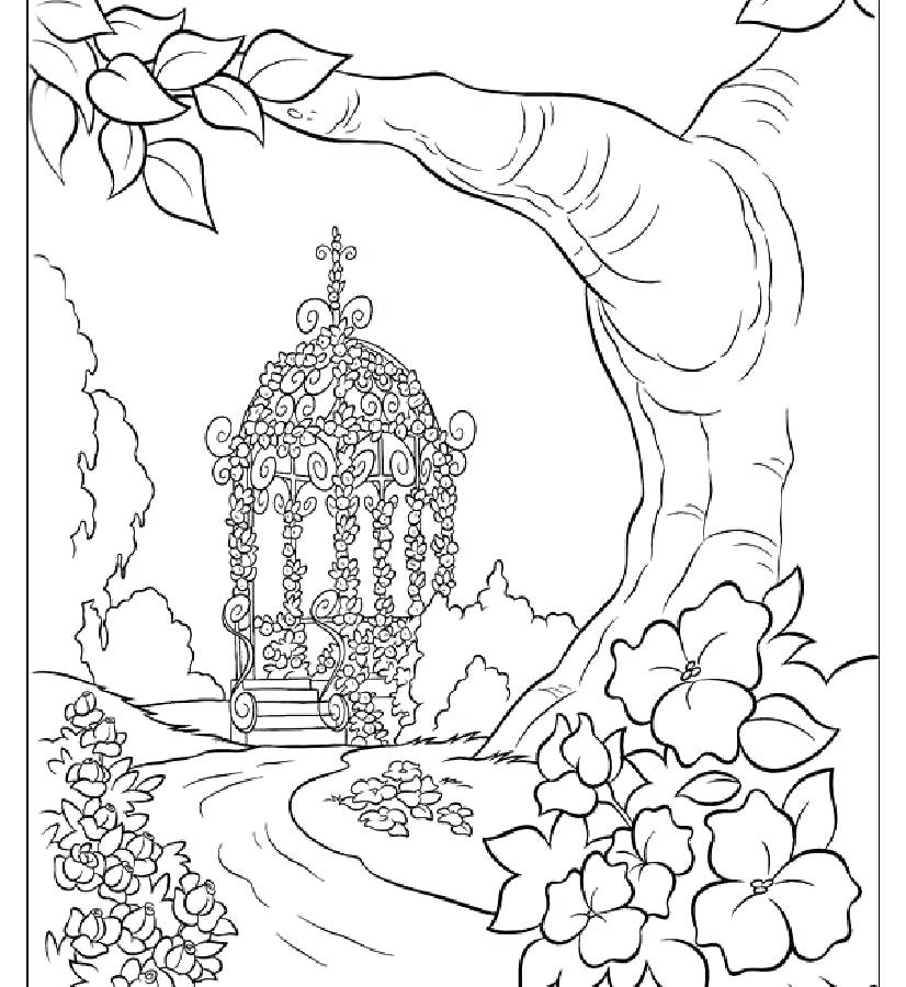 Nature Coloring Pages Free Printable Nature Coloring Pages 826x900 Nature Coloring Pages Free Printable Nature Coloring Pages