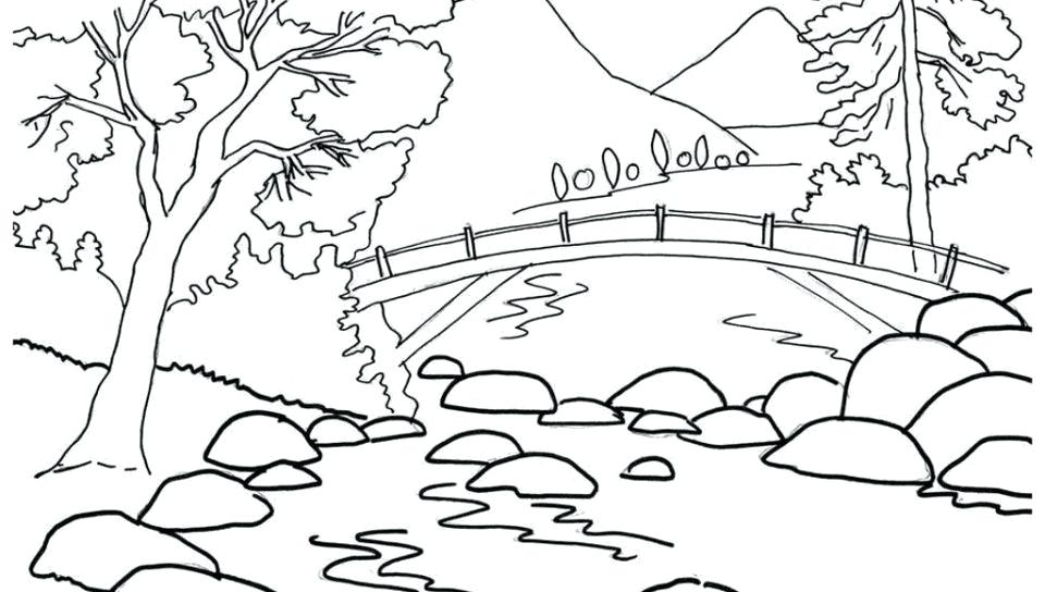 Nature Coloring Pages To Print Cool Jungle Page With Elephant 960x544 Nature Coloring Pages To Print Cool Jungle Page With Elephant