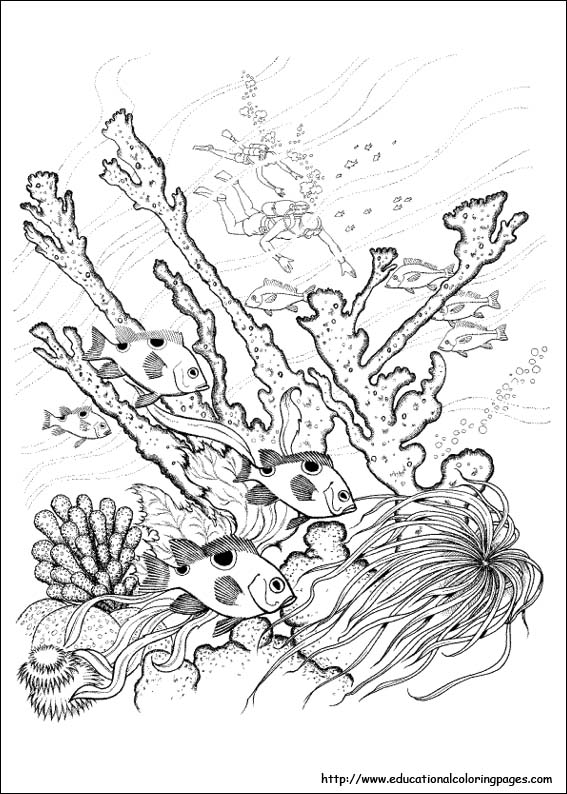 Nature Coloring Pages 567x794 Nature Coloring Pages