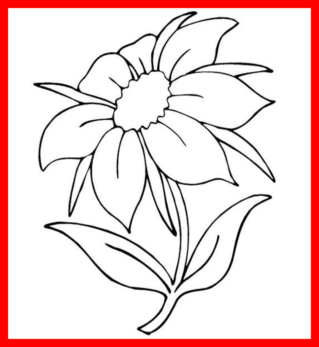 Shocking Pretty Flowers Coloring Pages Ebcs Pic For Beautiful 1075x1171 Shocking Pretty Flowers Coloring Pages Ebcs Pic For Beautiful