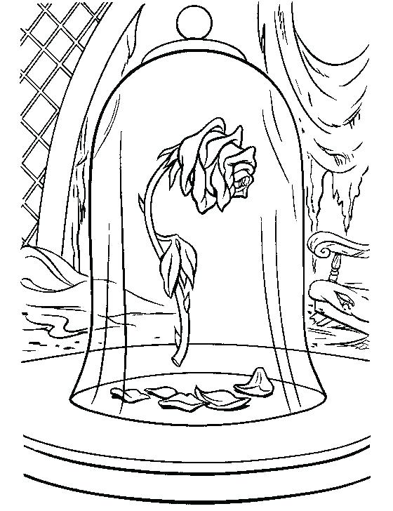 560x728 Beauty And The Beast Coloring Pages Free Rose Color Pages Beauty