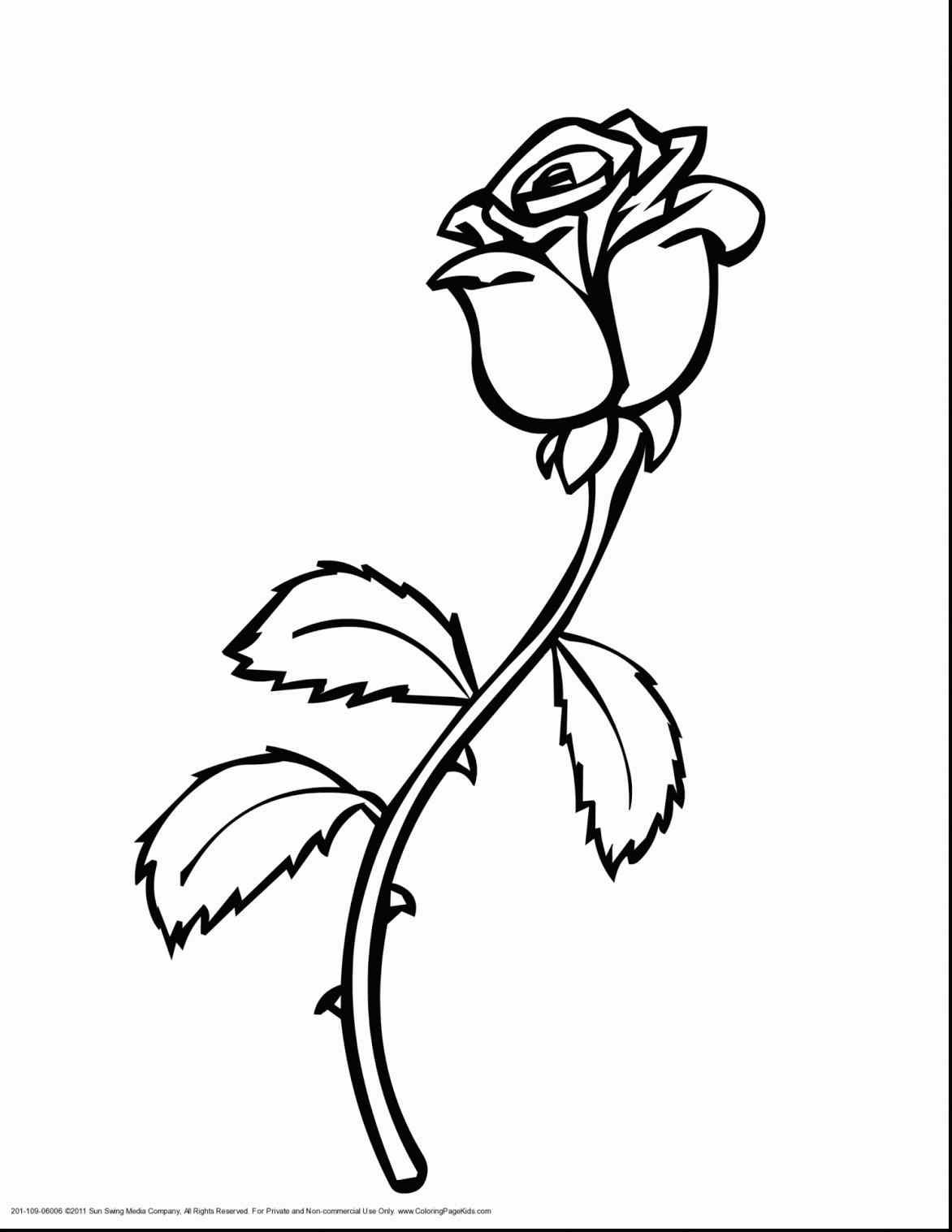 Beast Rose Coloring Pages Beautiful Drawing Printable Disney 1172x1517 Beast Rose Coloring Pages Beautiful Drawing Printable Disney