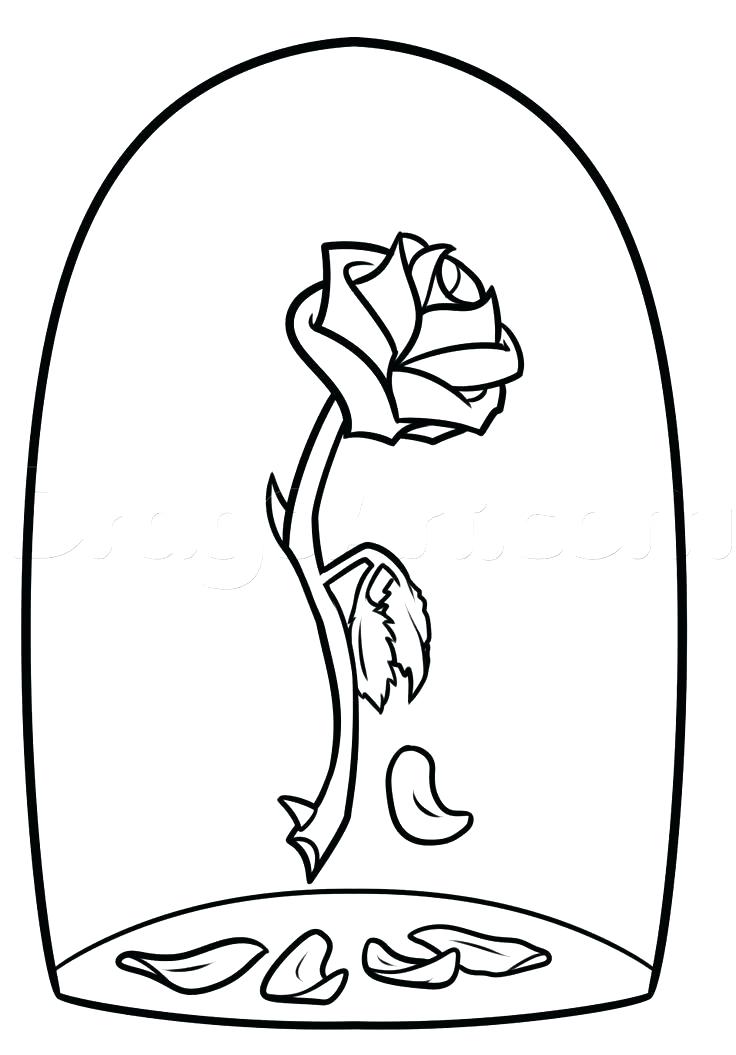 Beauty And The Beast Coloring Pages Rose As Well As Rose Coloring 736x1055 Beauty And The Beast Coloring Pages Rose As Well As Rose Coloring