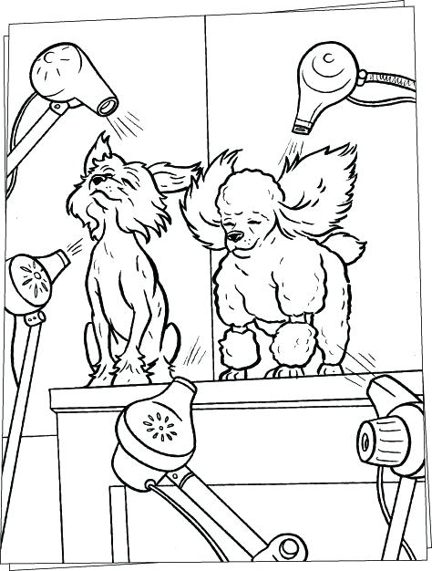 474x626 Hair Salon Coloring Pages Hair Salon Coloring Pages Dog Salon