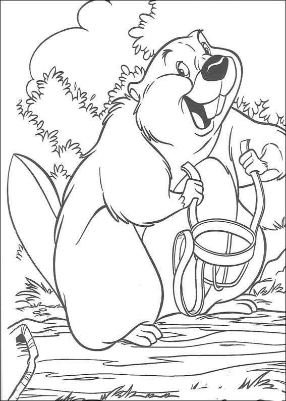 567x794 11 Best Ausmalbilder Biber Images On Beavers