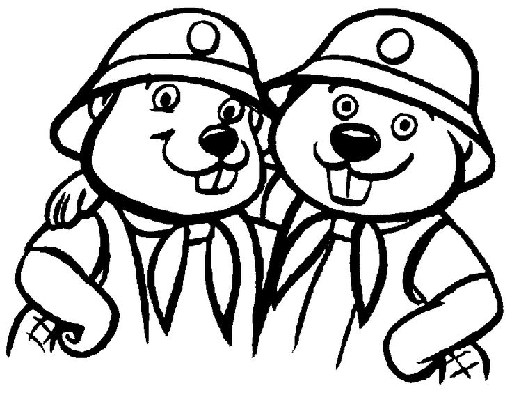 736x567 8 Best Beavers Coloring Images On Beavers, Beaver