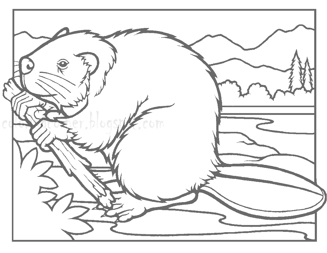 1100x850 Printable Beaver Coloring Page