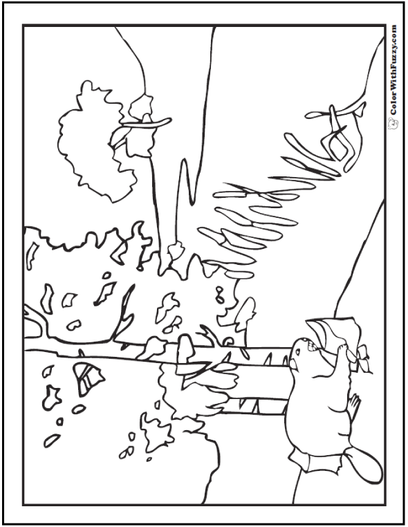 590x762 Beaver Coloring Pages Beaver Dams And Habitat