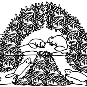 Brave Beaver Warrior Coloring Page Coloring Sun 300x300 Brave Beaver Warrior Coloring Page Coloring Sun
