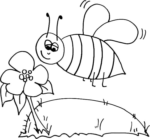 600x558 Bumble Bee Sniffing Flower Coloring Pages Best Place To Color
