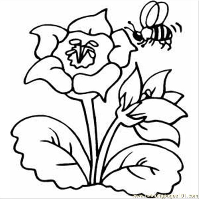 650x650 Flower With Bee Coloring Page