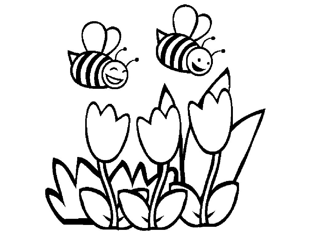 1024x768 Awesome Bumble Bee Coloring Pages Menmadehome Pic For Flower Trend