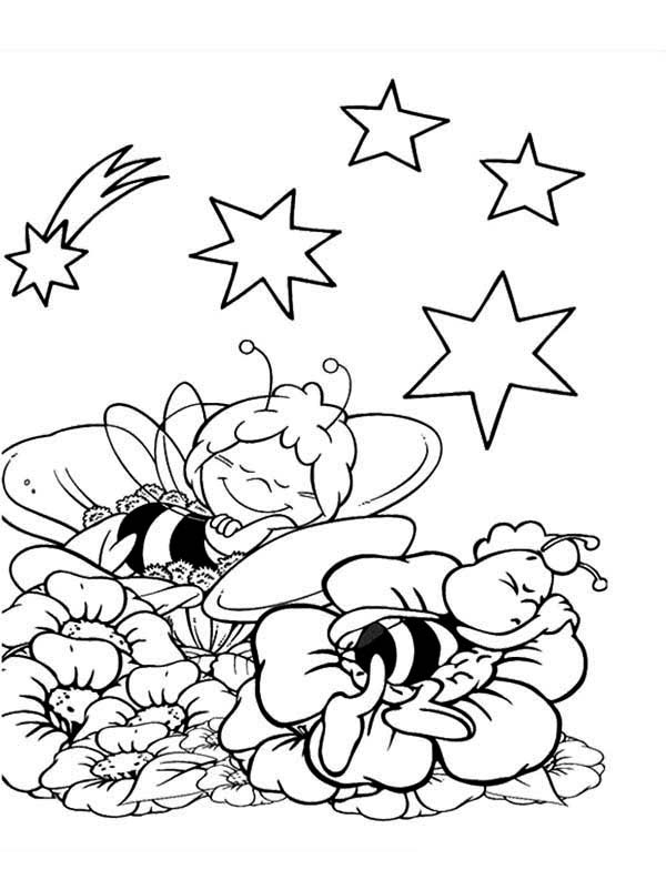 600x793 Maya The Bee And Willy Fall Asleep On The Flower Coloring Pages