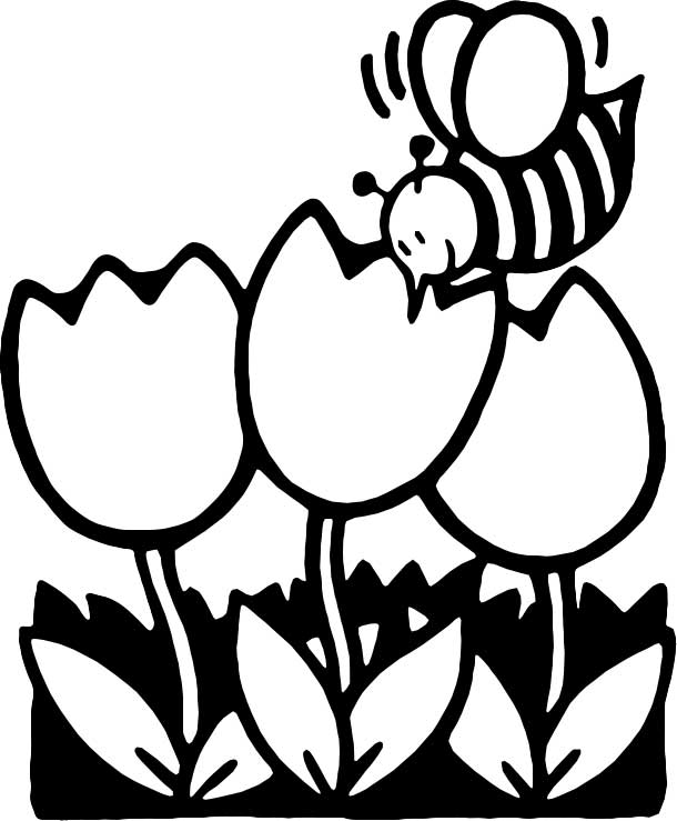 610x739 Bee Coloring Page For Kids
