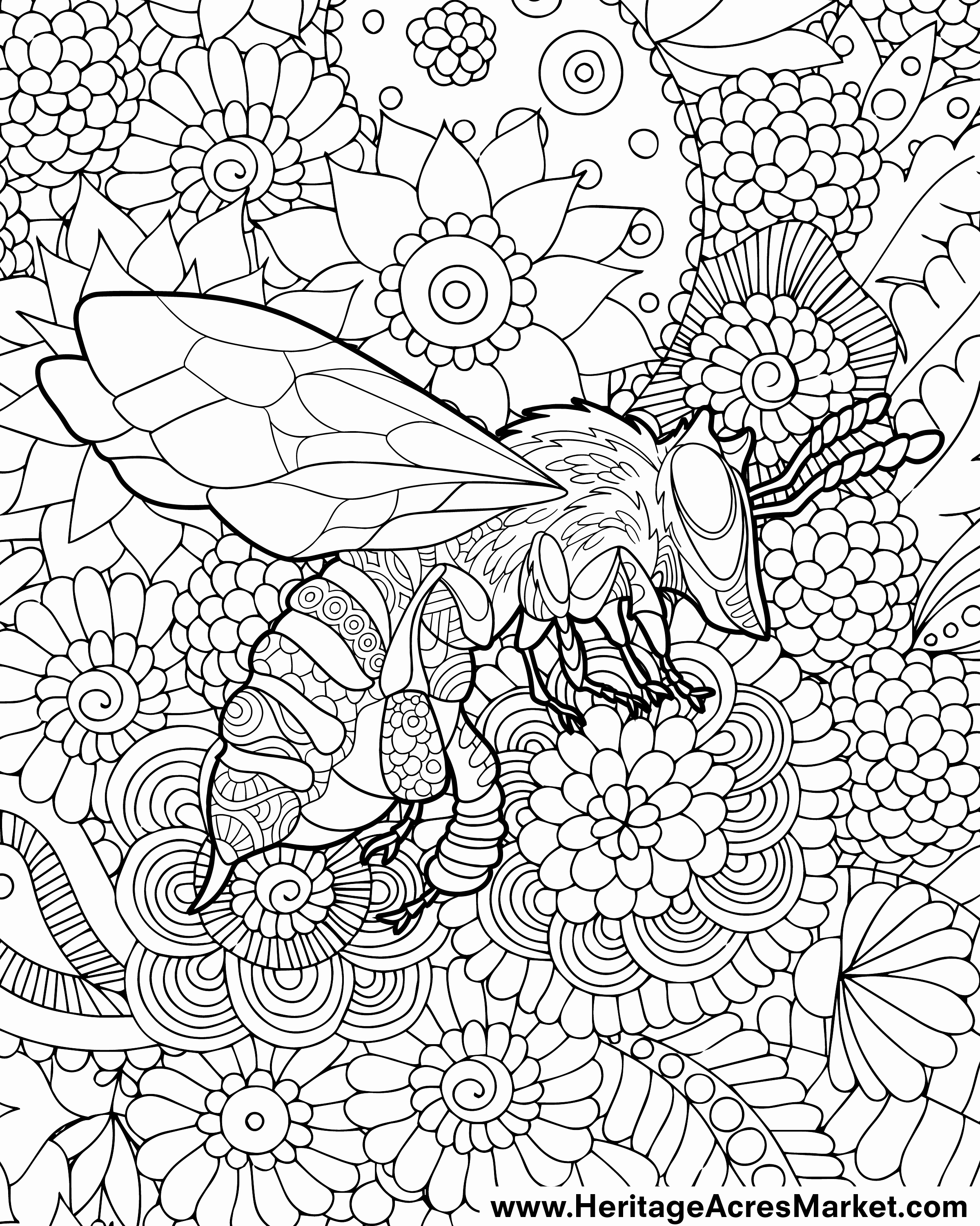 2400x3000 Coloring Paper Elegant Free Bee Coloring Pages And More New High