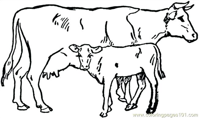 650x385 Cow Coloring Page C Is Cow Coloring Page Coloring Pages