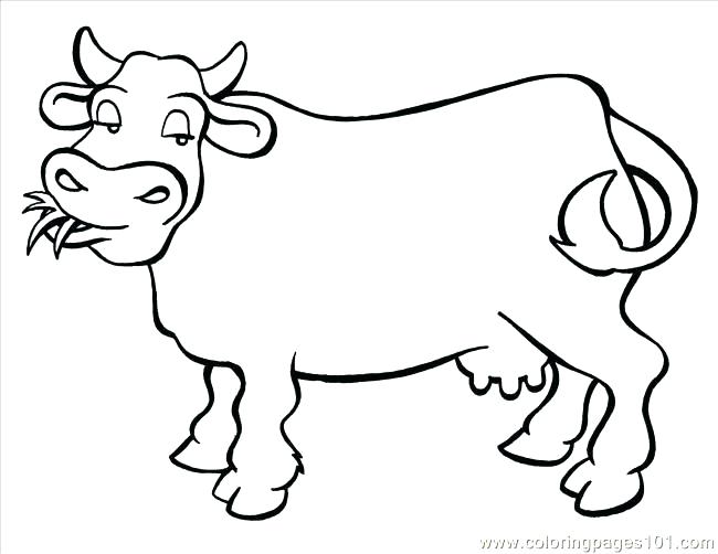 650x502 Cattle Coloring Pages