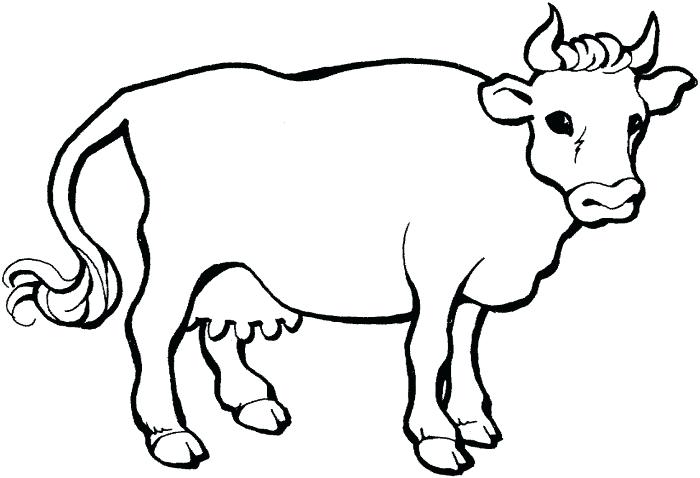 700x478 Cattle Coloring Pages Impair.co