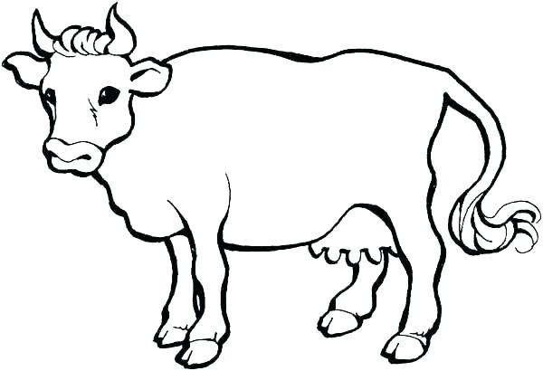 600x410 Cattle Coloring Pages Beef Cattle 2 Cattle Truck Colouring Pages