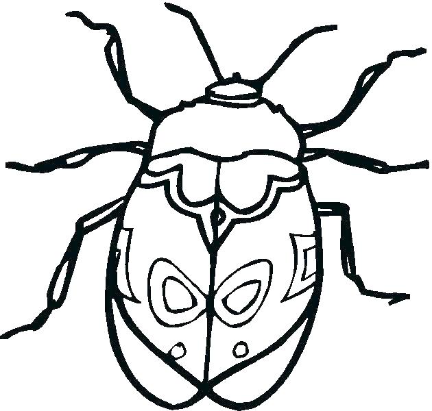 Bug Coloring Page Bug Coloring Page Insect Coloring Page Free 630x600 Bug Coloring Page Bug Coloring Page Insect Coloring Page Free