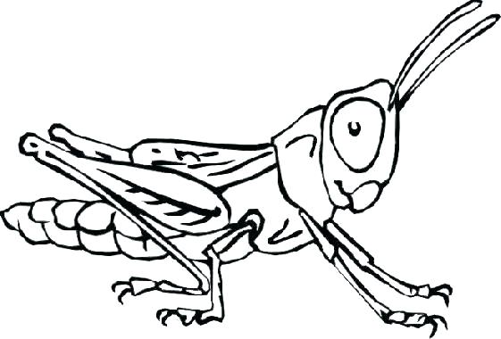 Bugs Coloring Page Bug Coloring Sheets Bugs Coloring Page Bugs 561x380 Bugs Coloring Page Bug Coloring Sheets Bugs Coloring Page Bugs