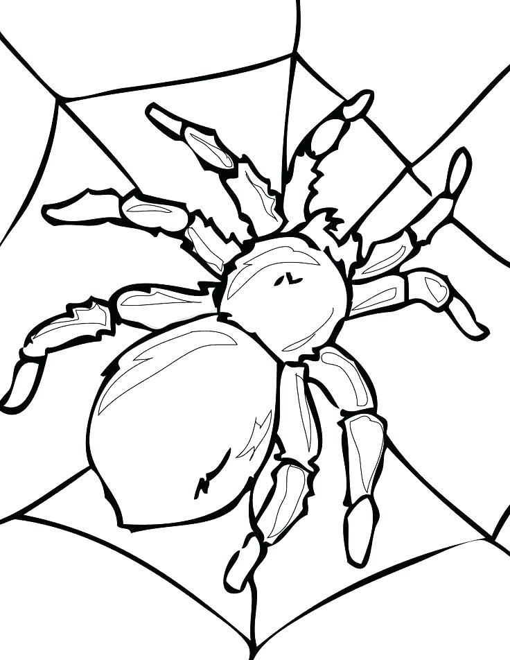 Coloring Insects Coloring Page Coloring Pages Insects Colouring 736x952 Coloring Insects Coloring Page Coloring Pages Insects Colouring